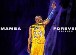 球友直播官网-罗家双胞胎携手征战俱乐部联赛 期待早日并肩作战