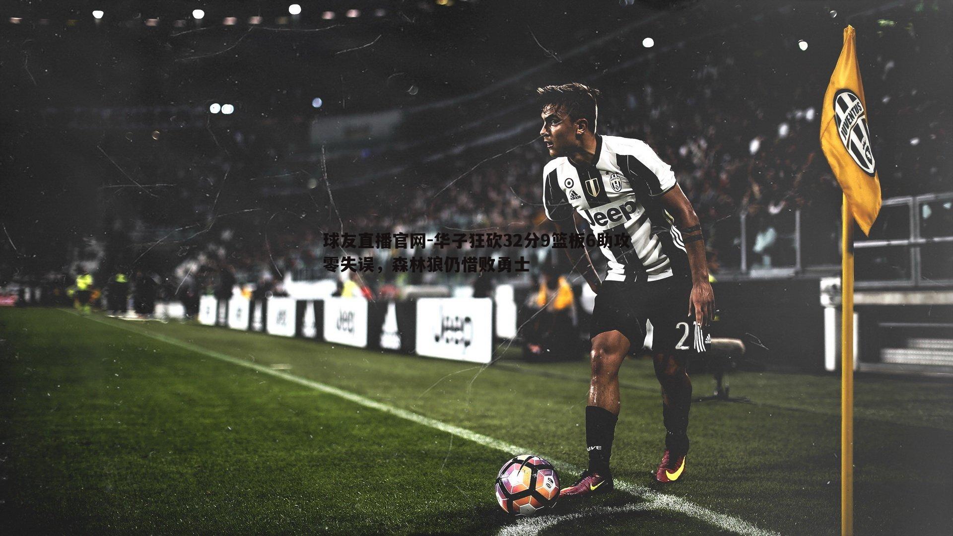 华子狂砍32分9篮板6助攻零失误,森林狼仍惜败勇士